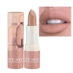 AKARY Matte Nude Lipstick