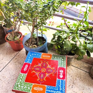 Traditional Wooden Hand Painted Jal Chowki