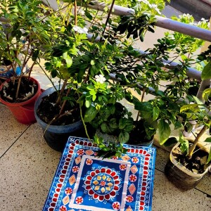 Traditional Wooden Hand Painted Jal Chowki