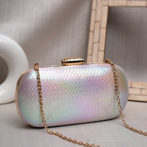 Designer Capsule Shape Clutch - Glossy Multiple